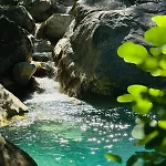 Maison 10 Personnes Soleil Et Piscines Naturelles Ferienhaus Rocchetta Nervina