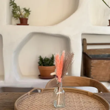 Maison 10 Personnes Soleil Et Piscines Naturelles 로케타네르비나